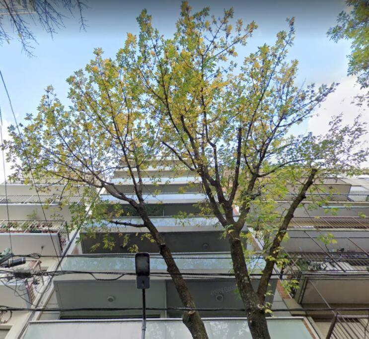 Appartamento Unique & Lovely In Palermo Buenos Aires